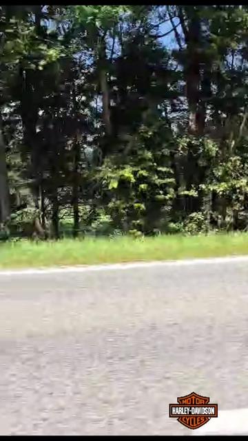 @🇺🇸🏍❌️Jamie❌️🇺🇸🏍