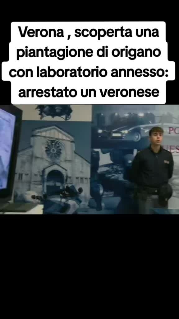 @squadra mobile