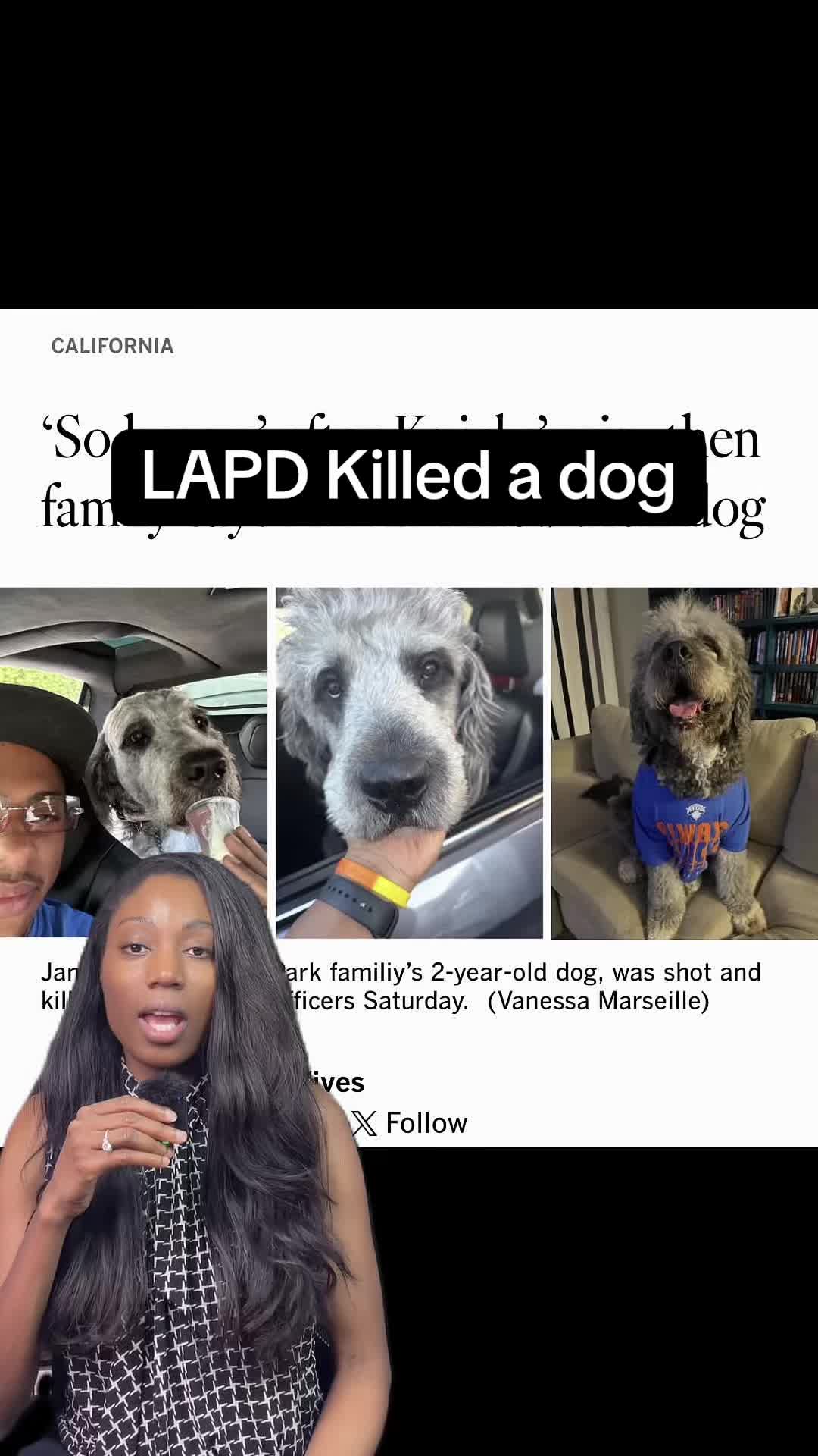 @Theluncheonlawyer