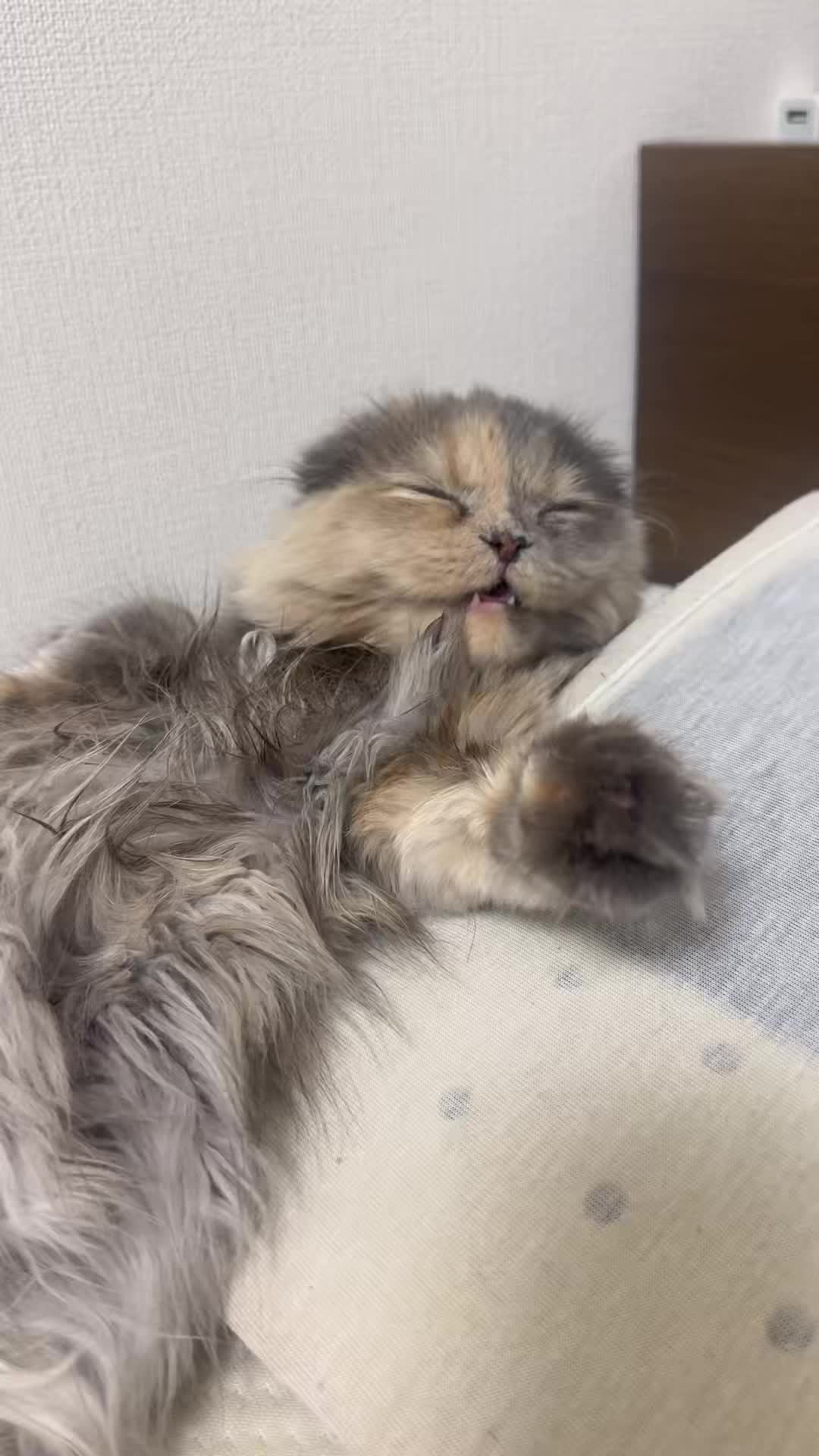@マイクワゾウスキー