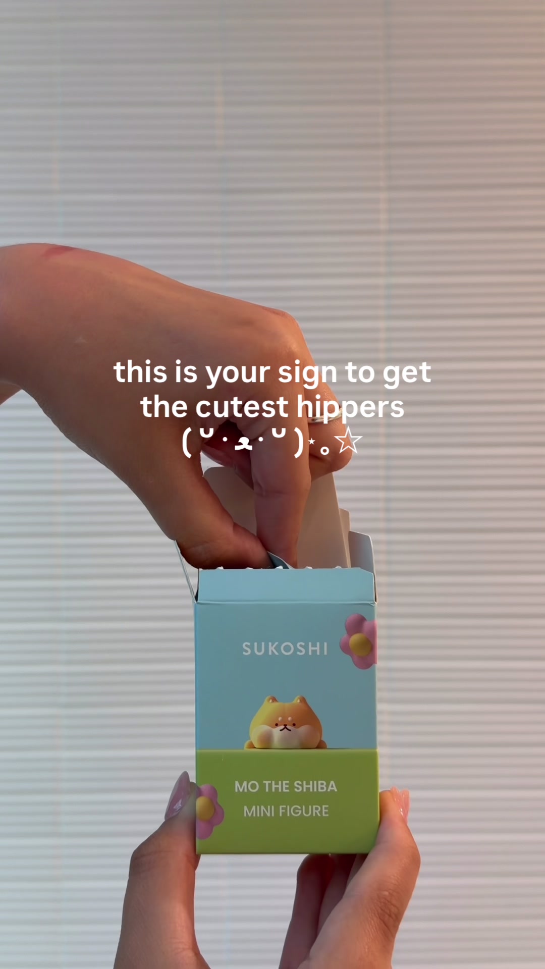 @sukoshi