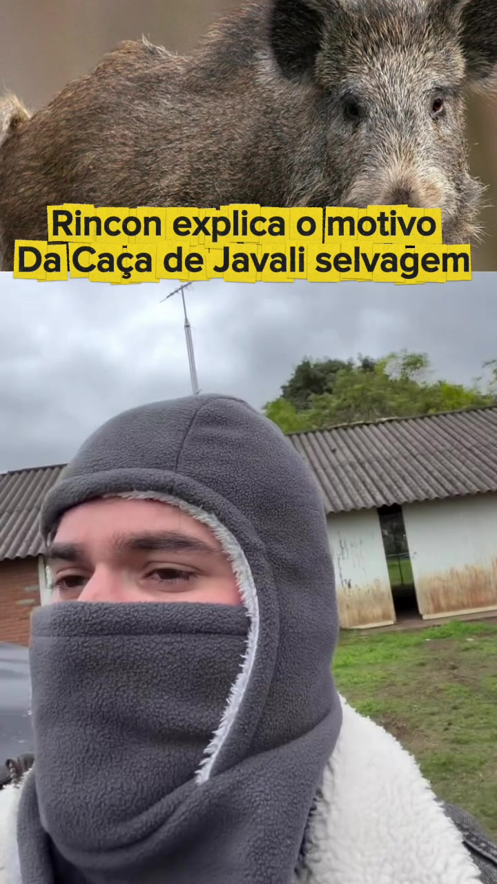 @Rcn061.cortesz