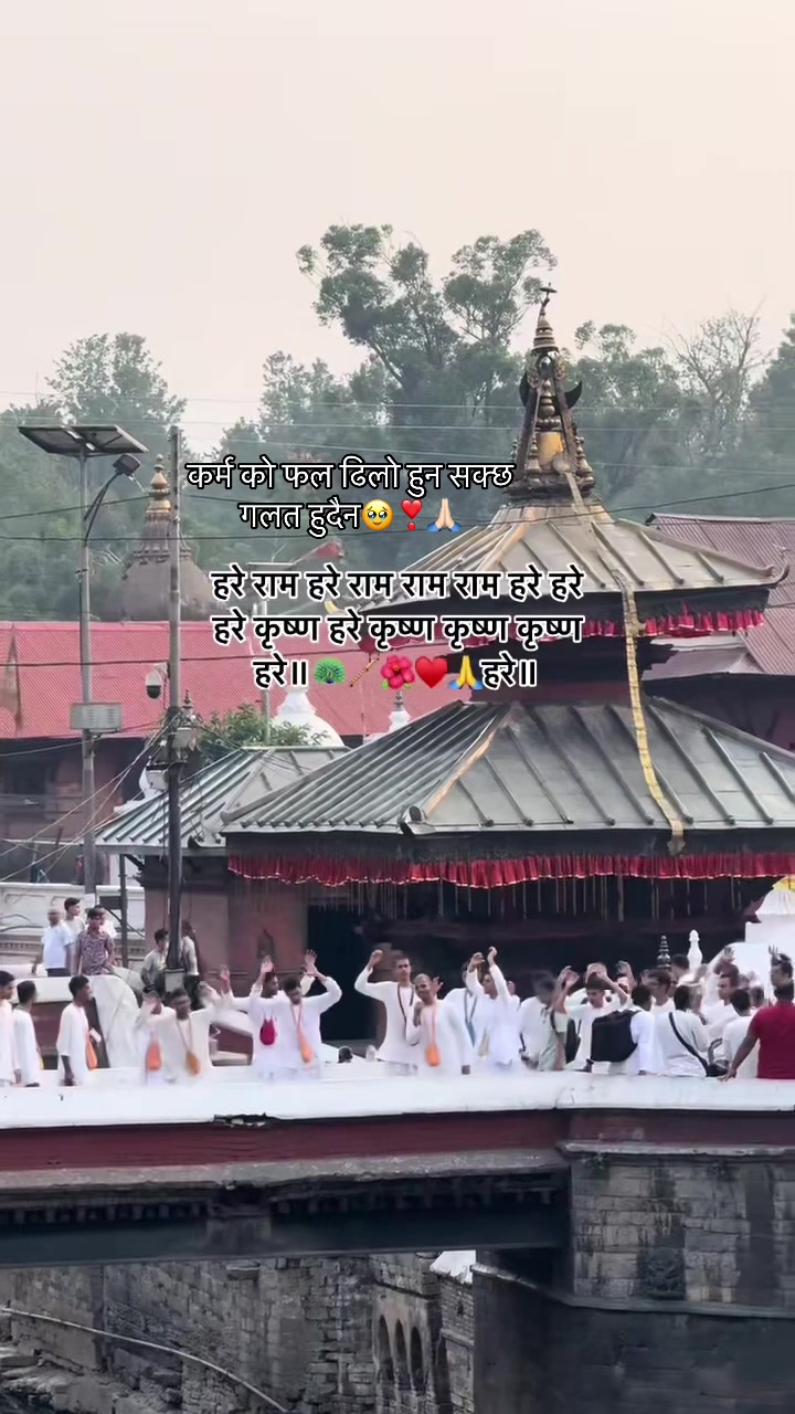 @malatibasnet38