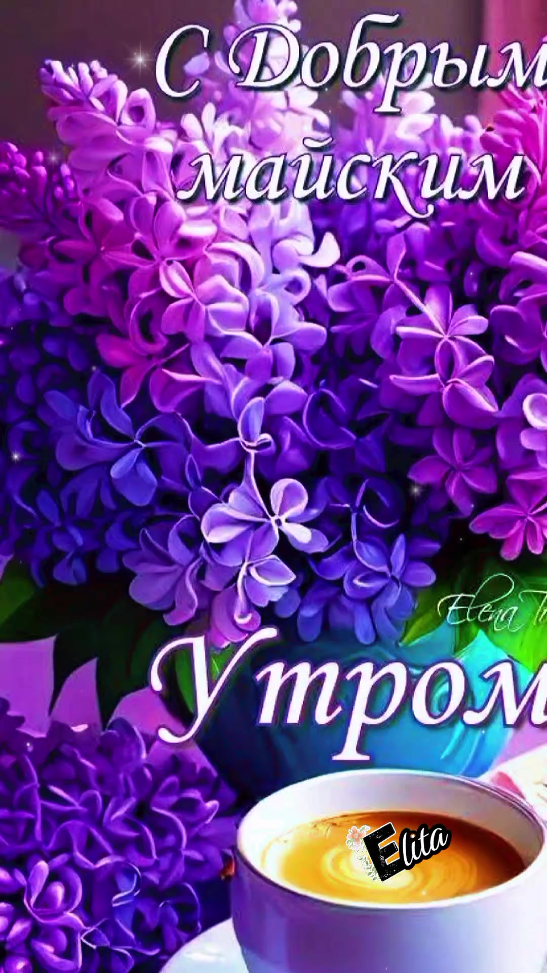 @Ёлита