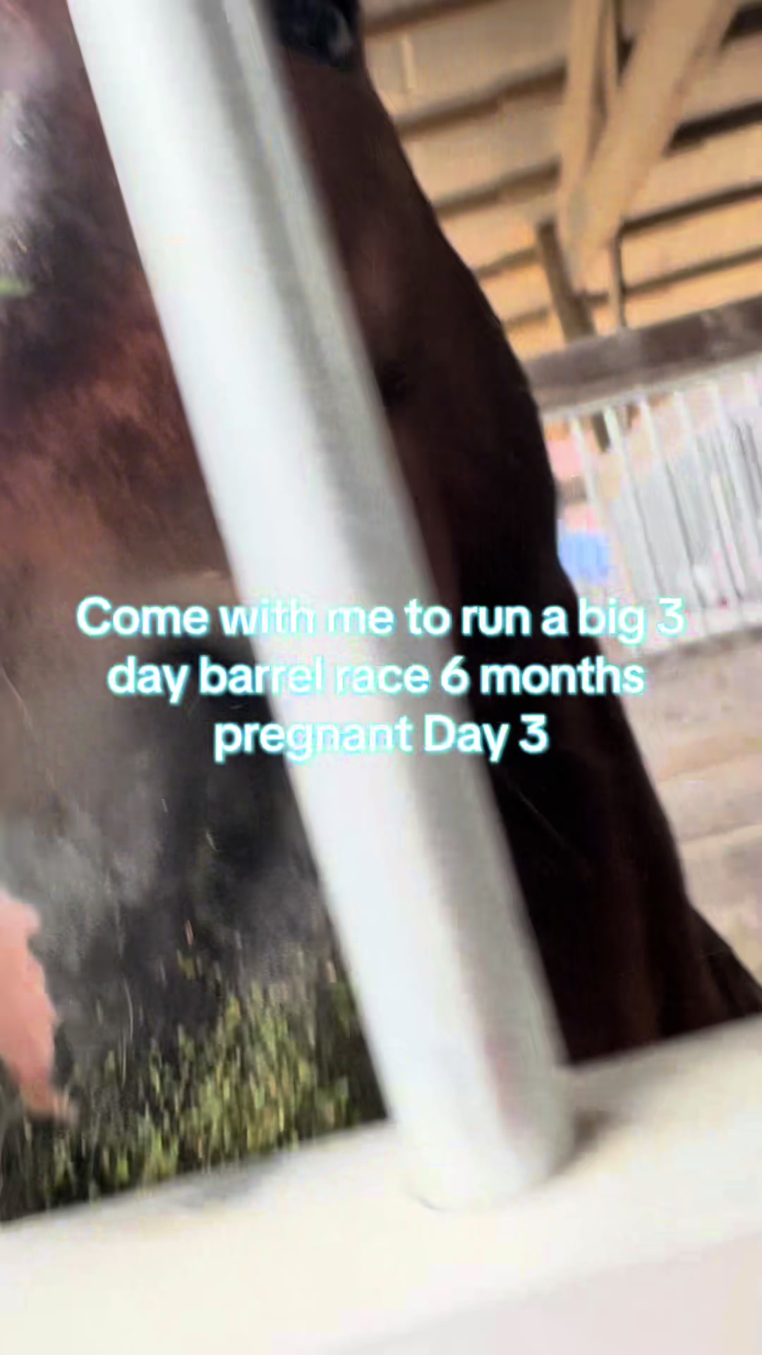 @Living Lucky Quarter Horses