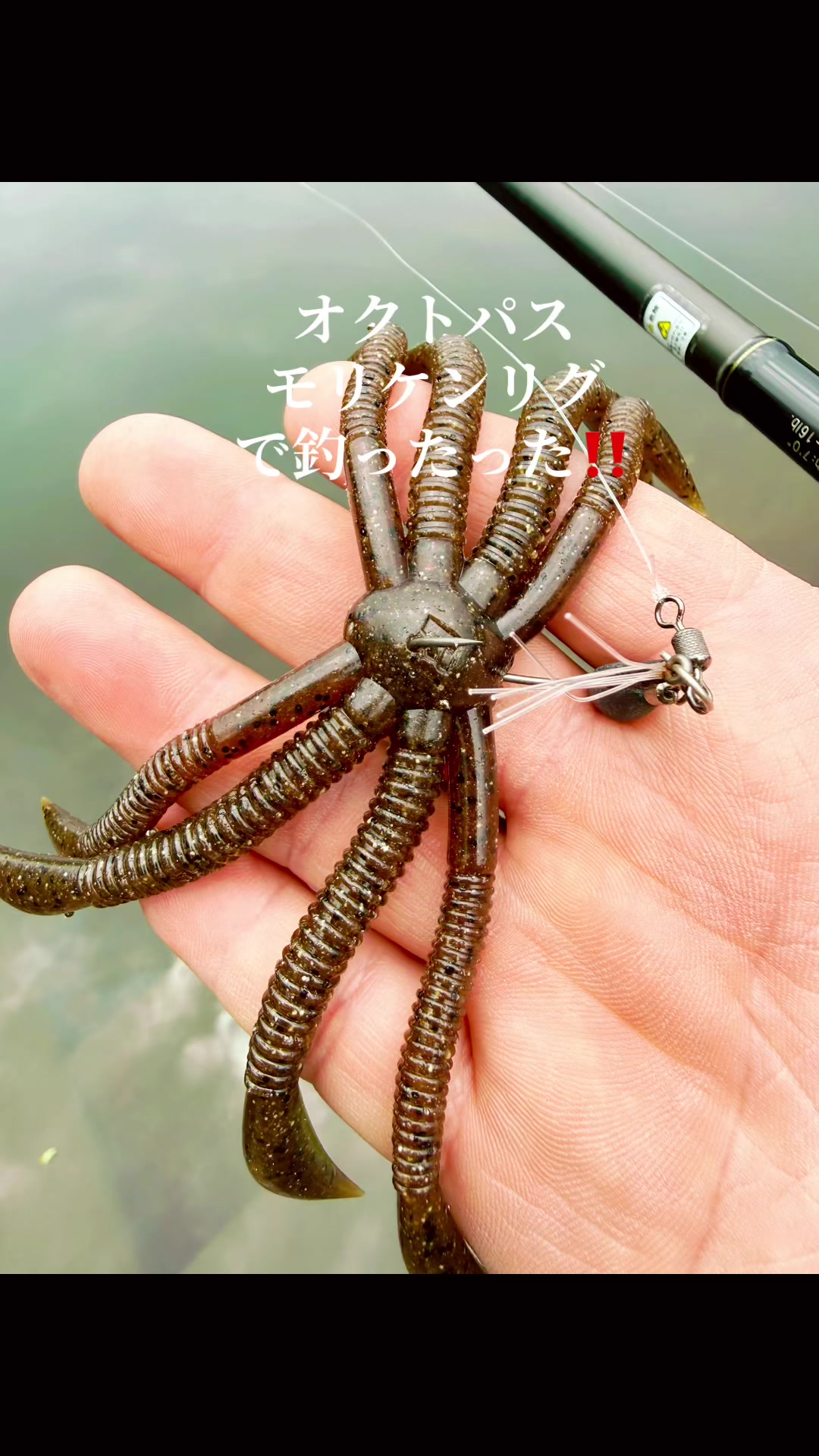 @片田舎のおっさんブラックバスを釣る