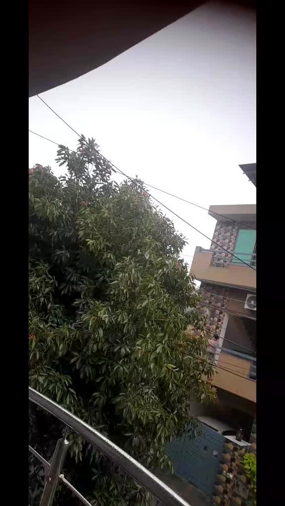@farzna_khan