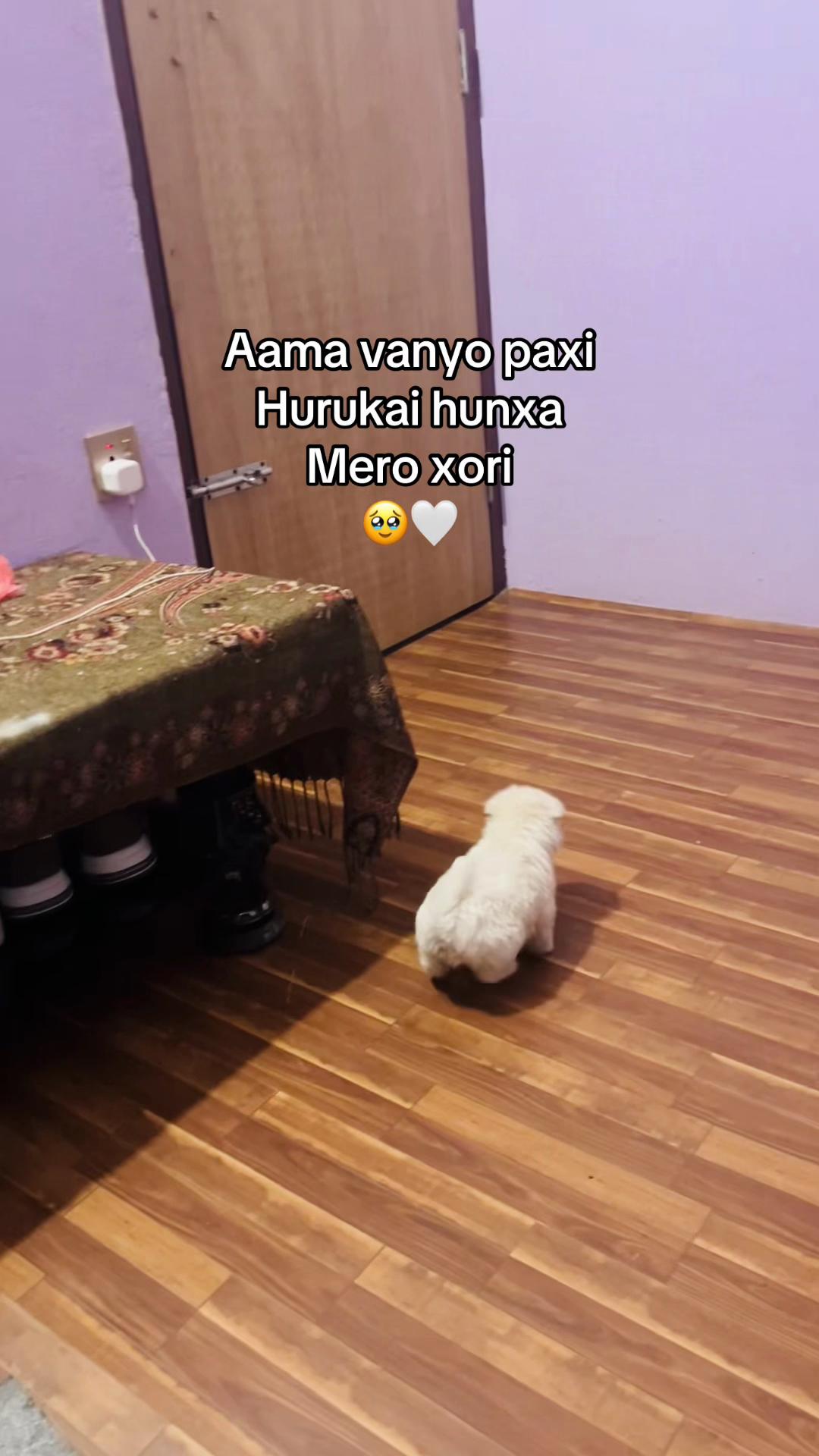 @Luna 