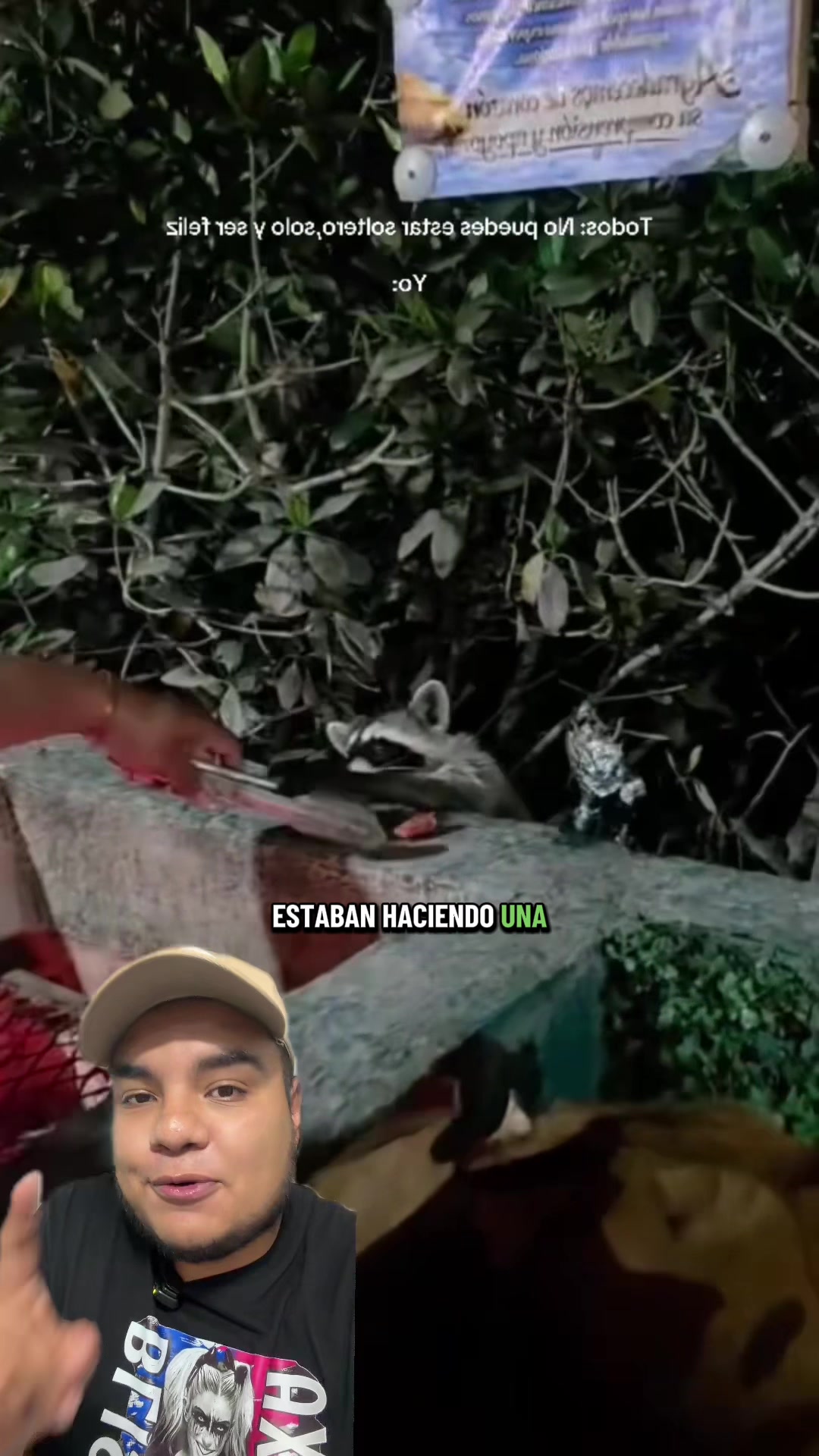 @Jair Herrera 🐆