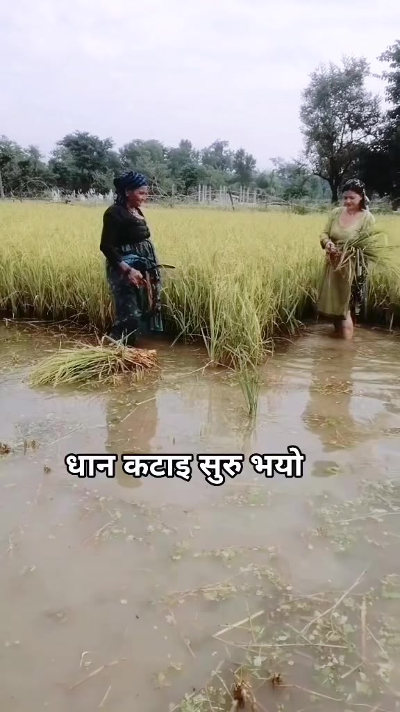 @Deepa Mahara