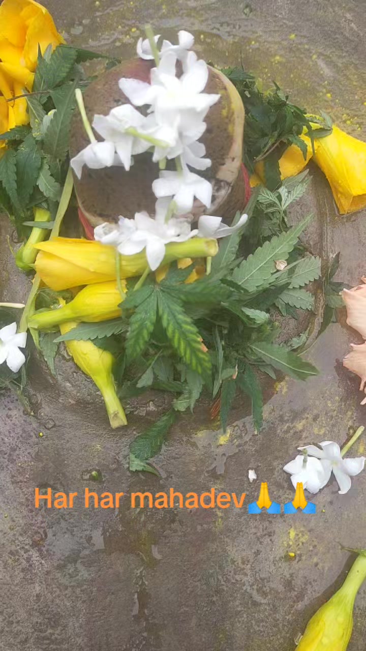 @Mina Shriwasatav