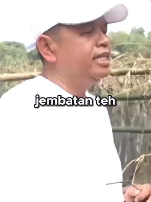 @๐ฝ๐๐ก๐๐ ๐๐ฟ๐