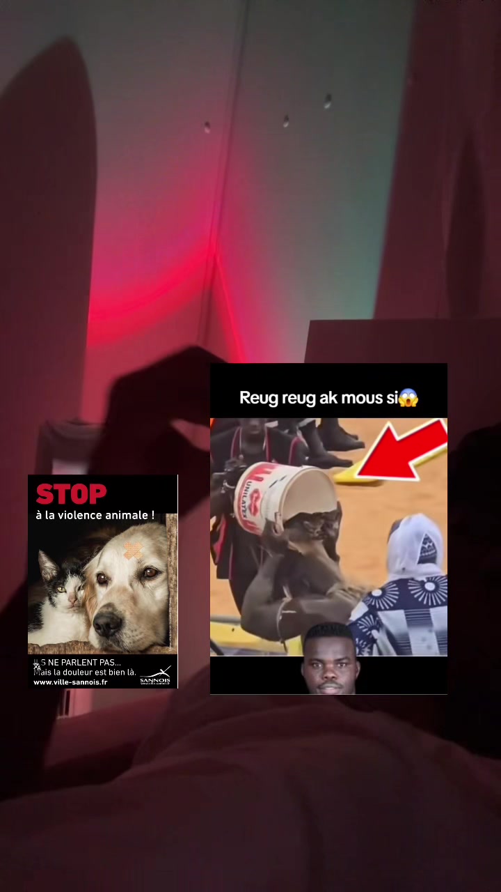@Momoparleauxchiens🇸🇳🇩🇪