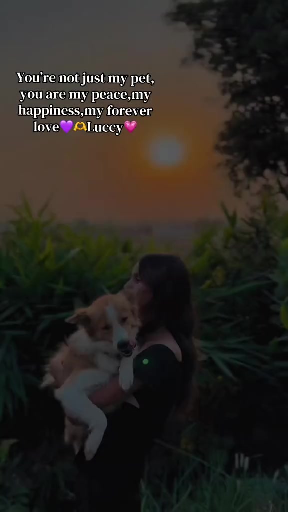 @🌛