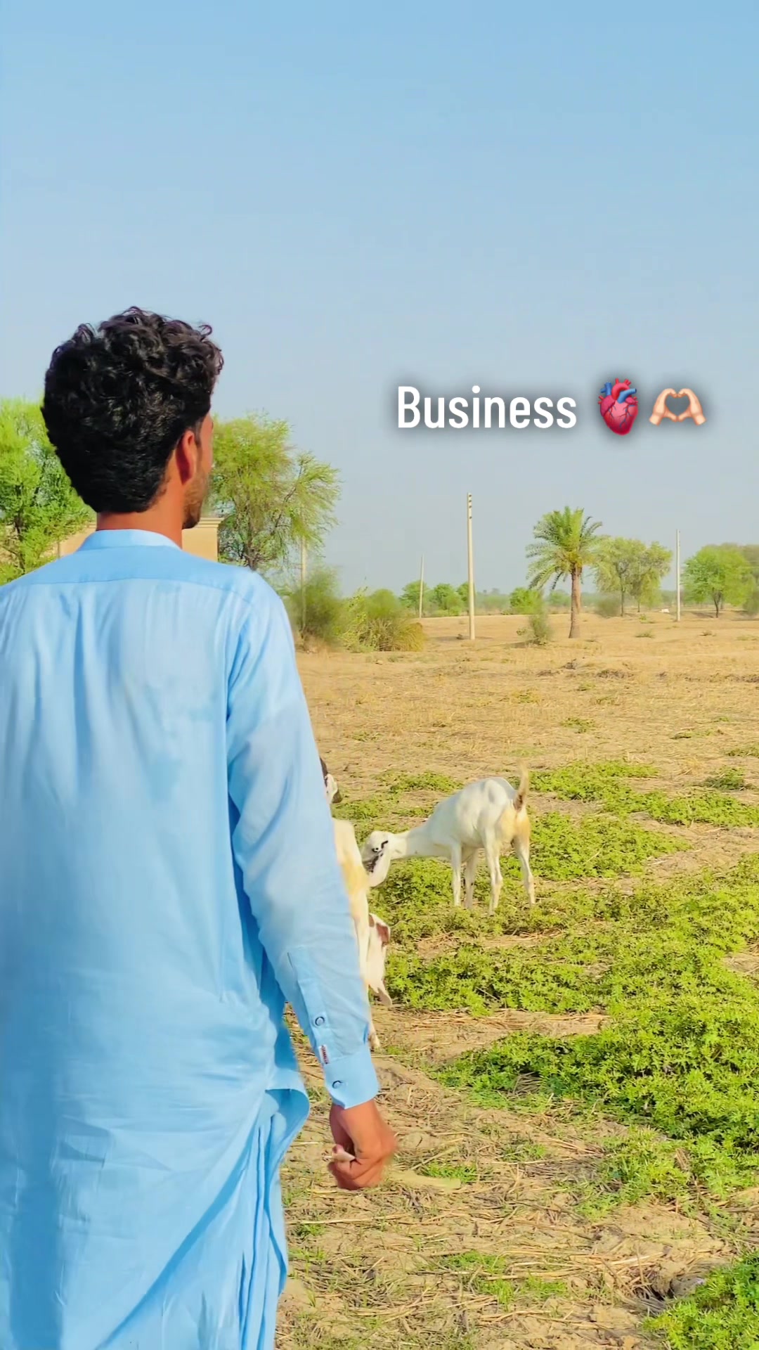 @رضوان