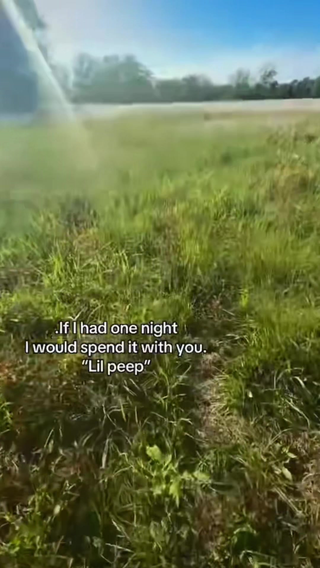 @¿¥§«
