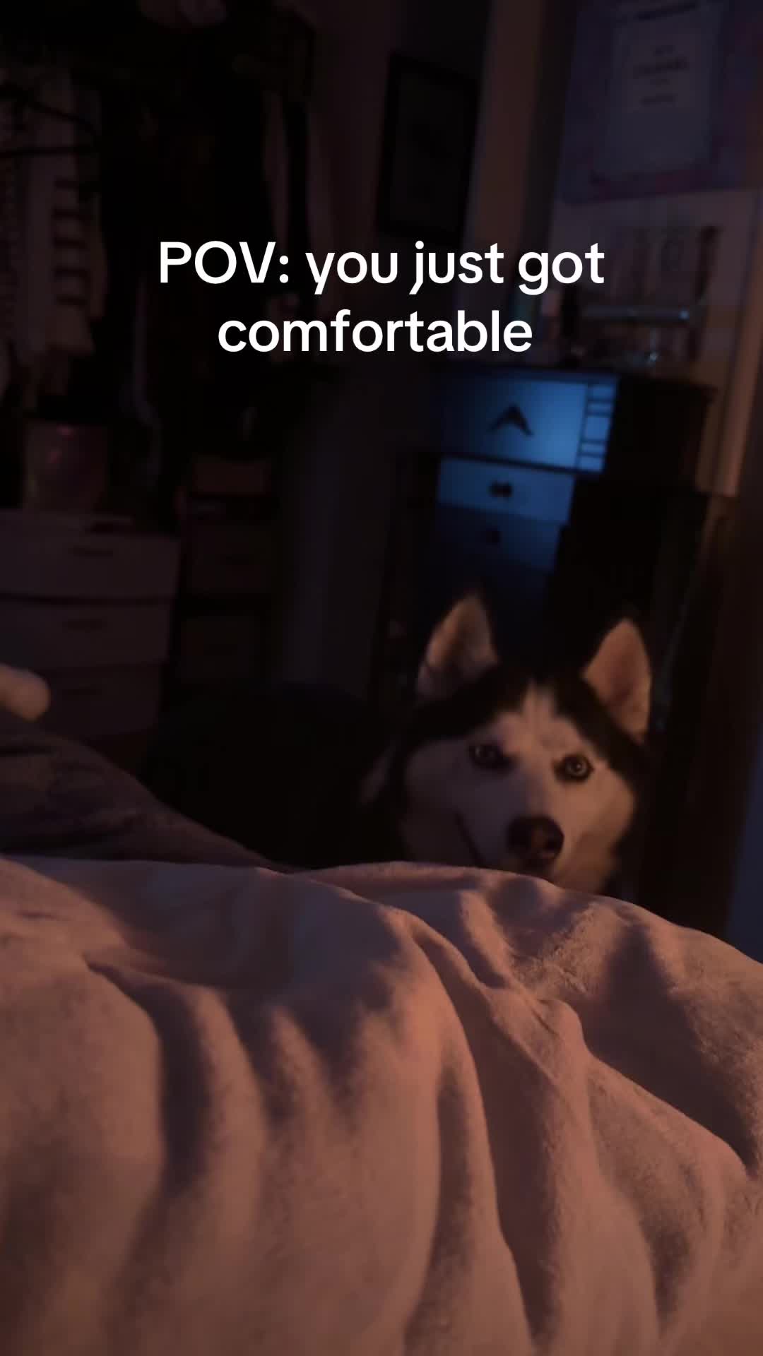 @HayleyandtheBeast
