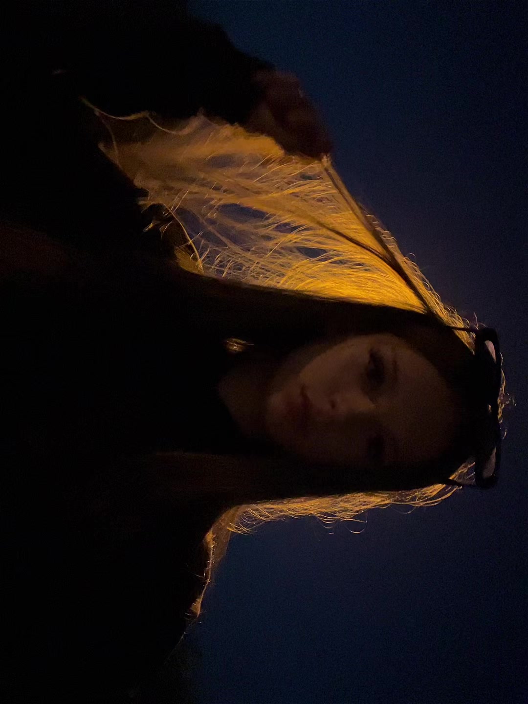 @lionovaaaa_
