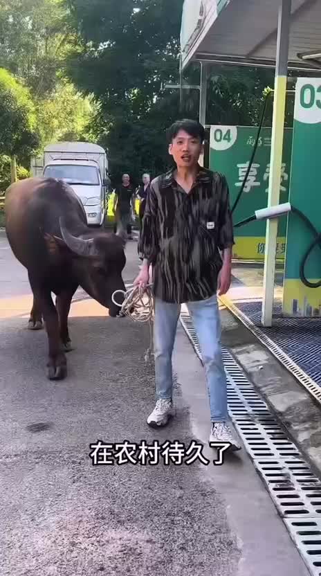 @Funny