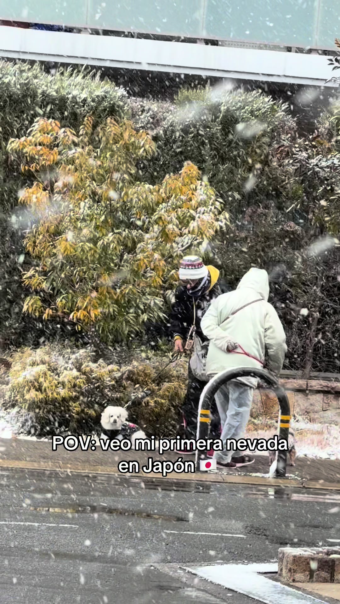 @mrgabopy