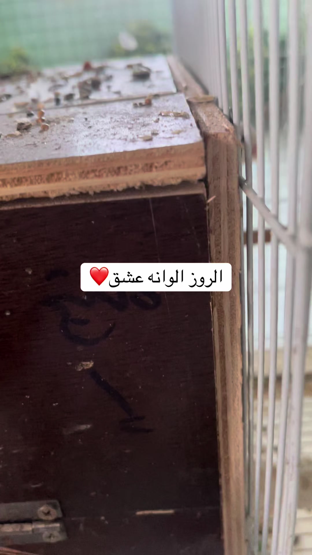 @ابوالمهند