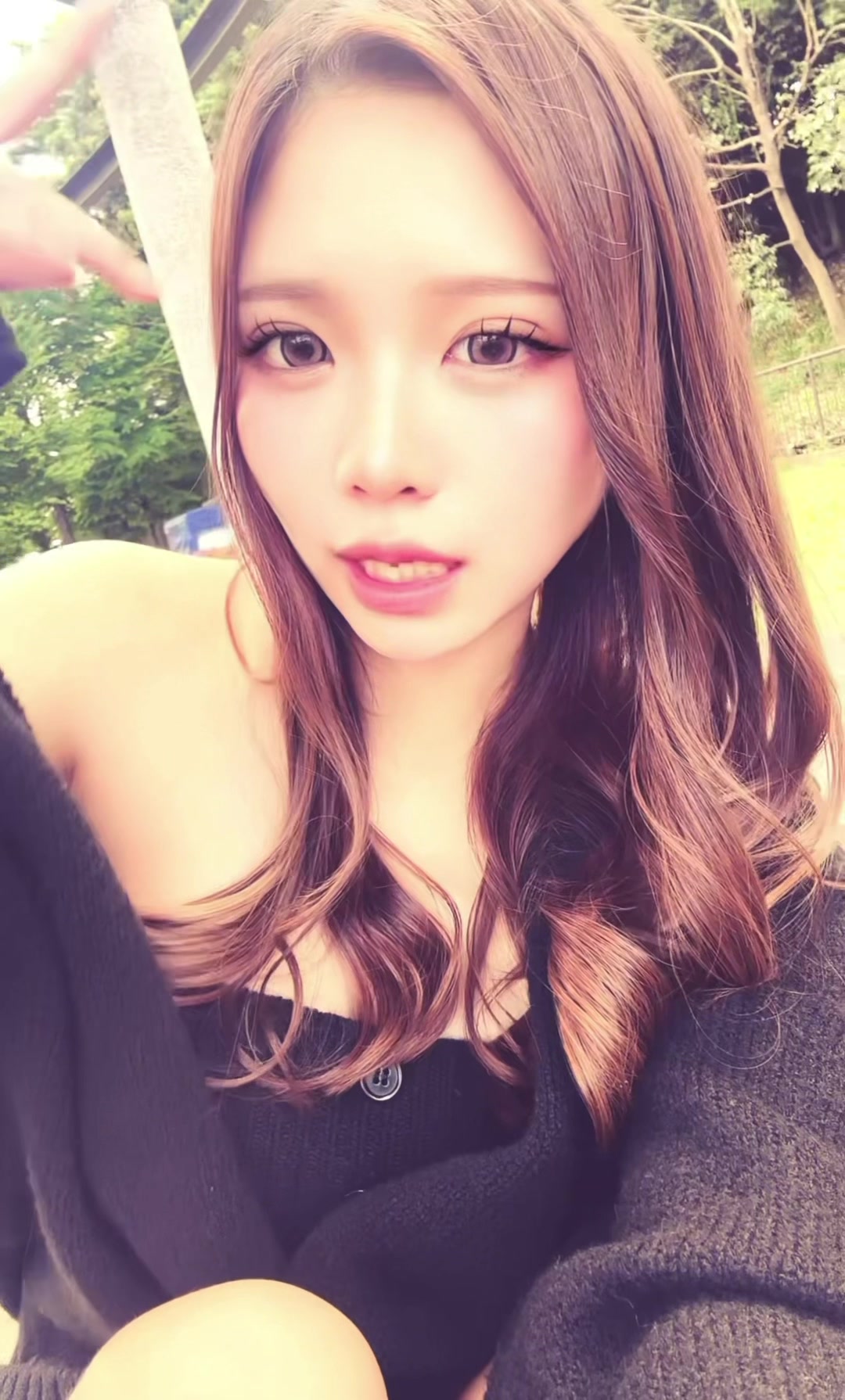 @夏帆