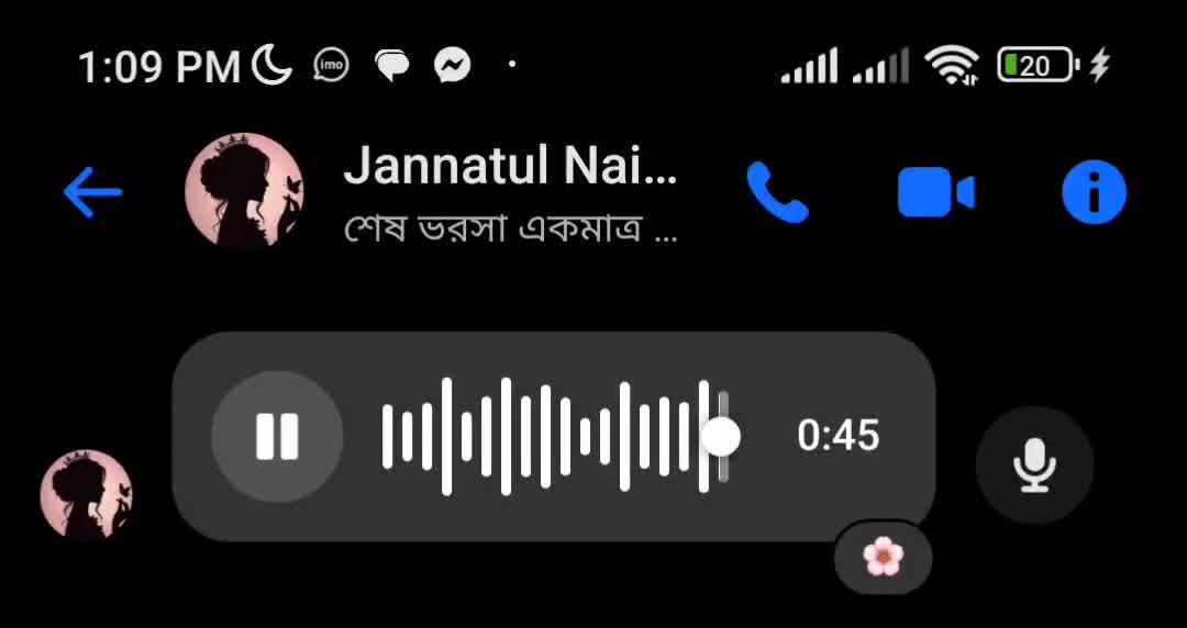 @Voice Of Jannatul