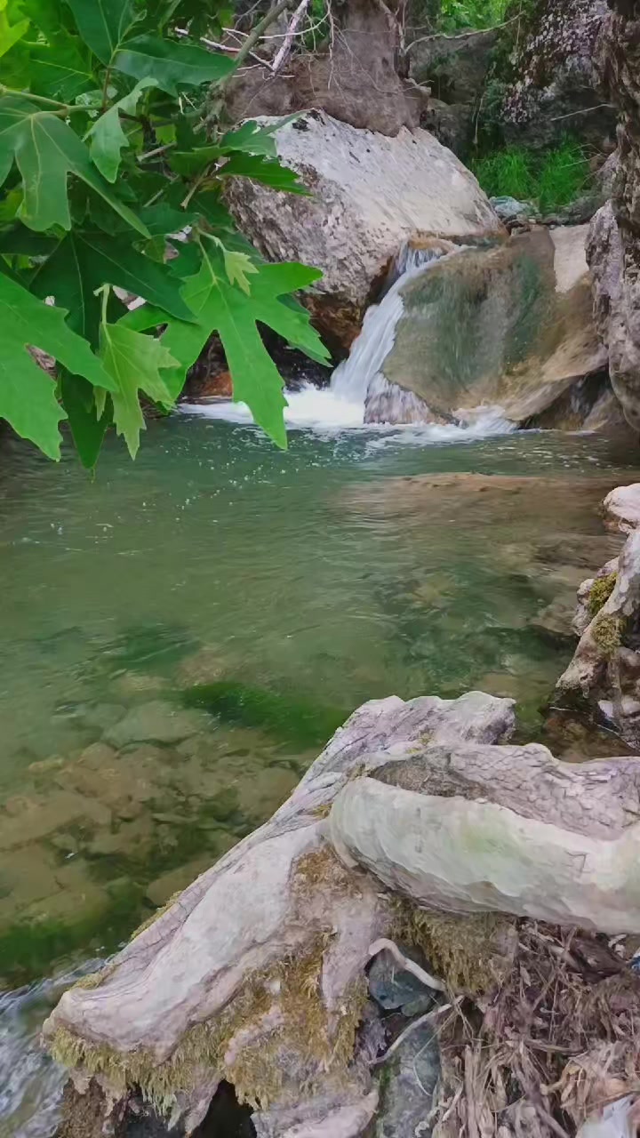 @hakkı saz4646