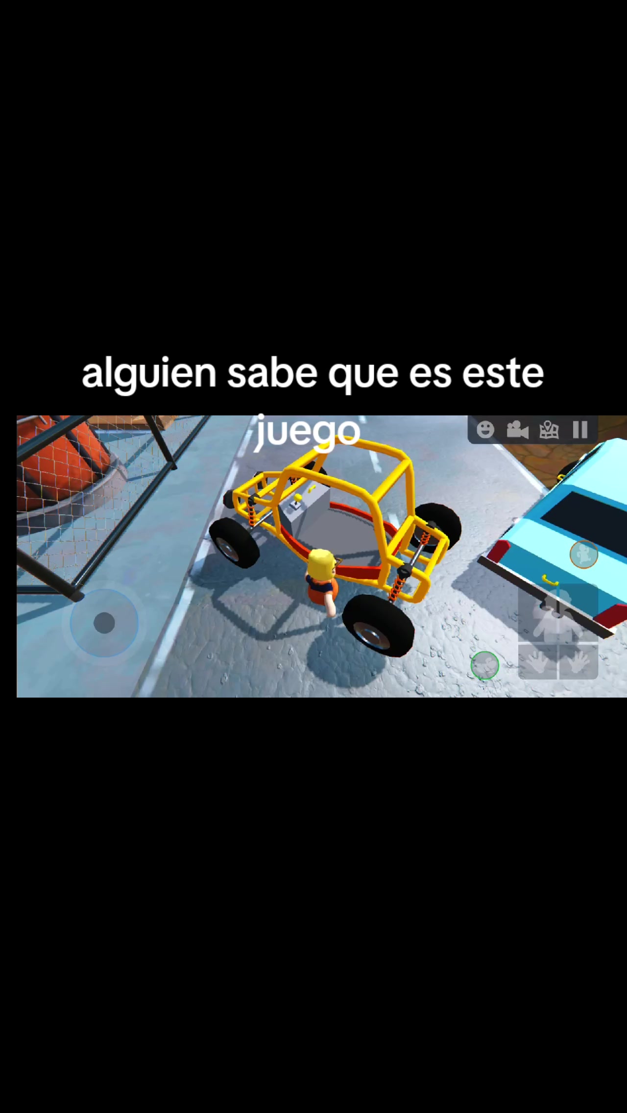 @México bird