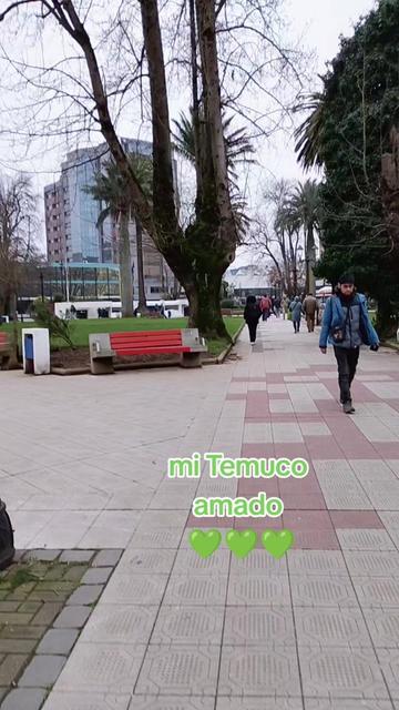 @TICHI  TEMUCO💚🇪🇦🥰🇨🇱💚 💚