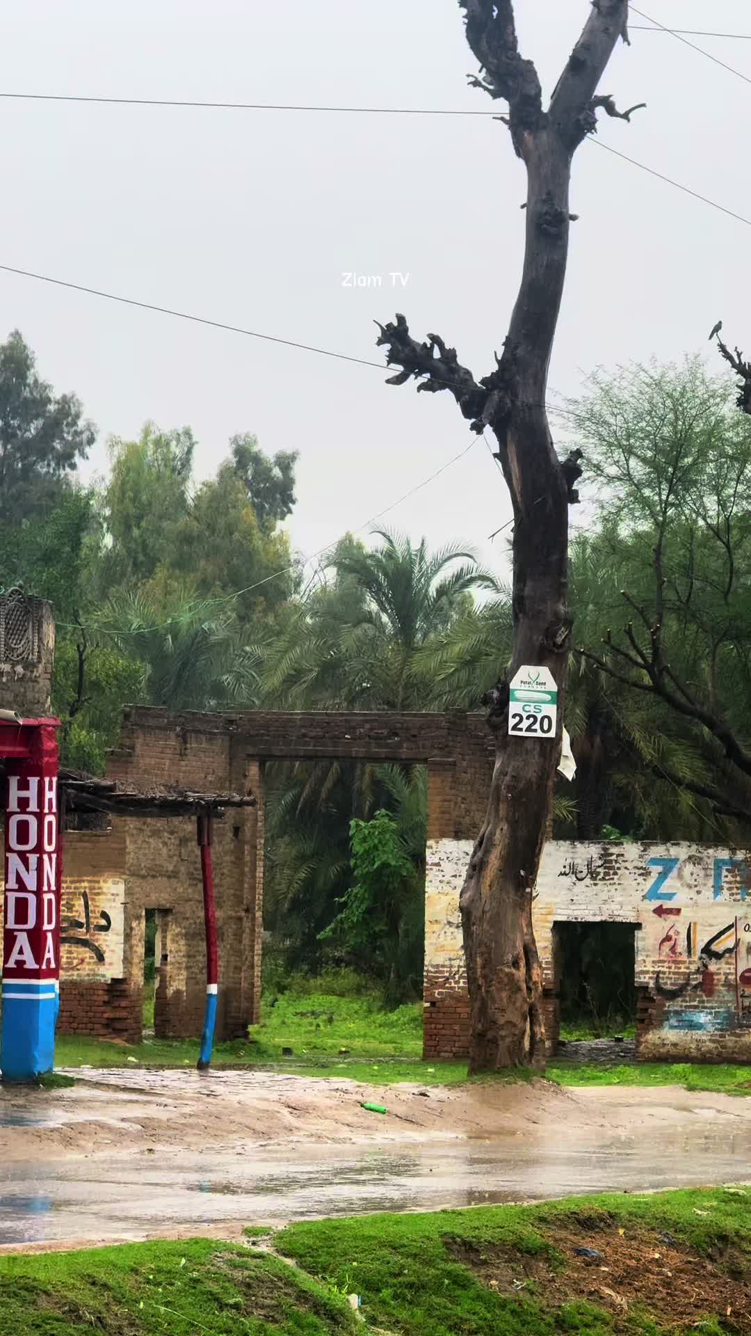 @TVزیم