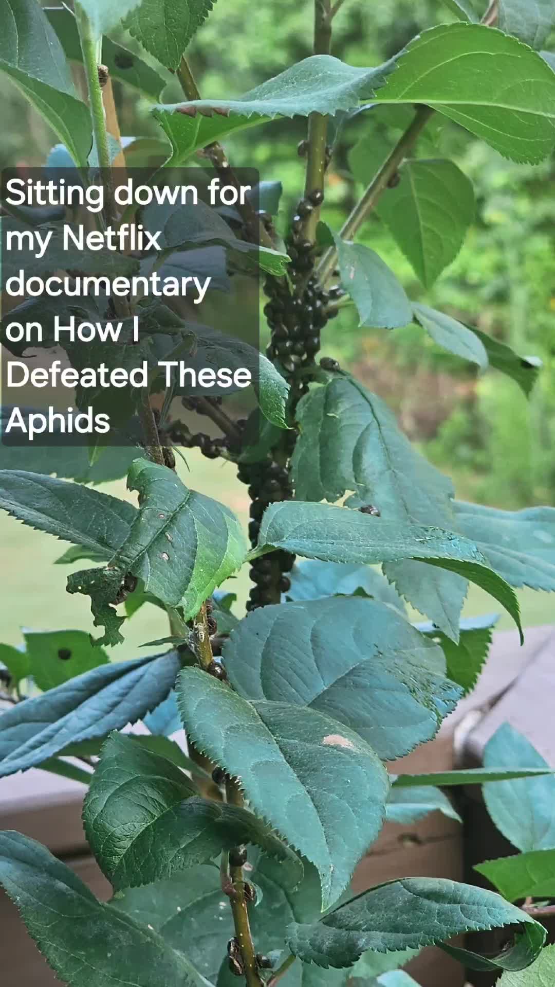@MeghanReimagined