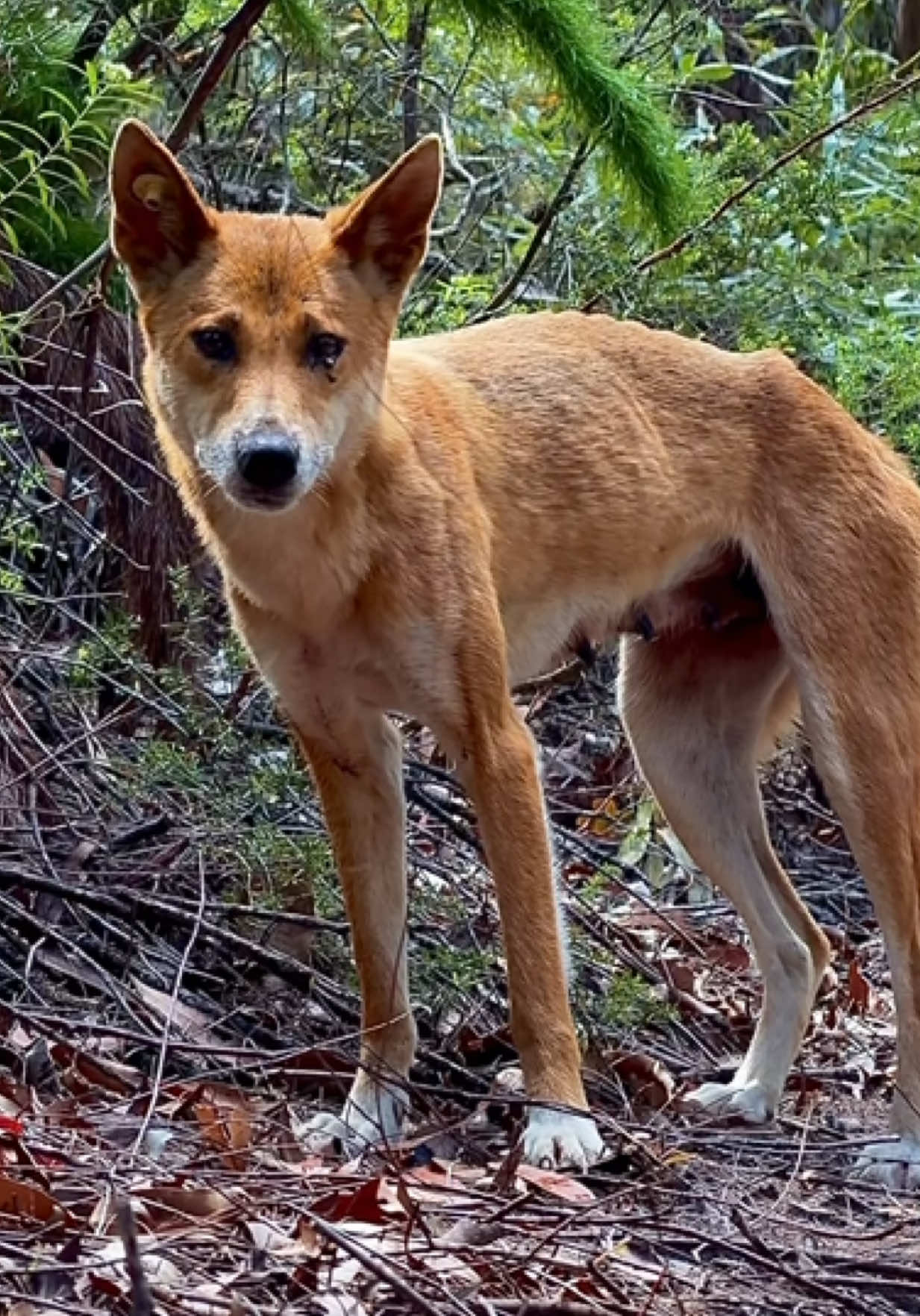 @Lily Tomkinson