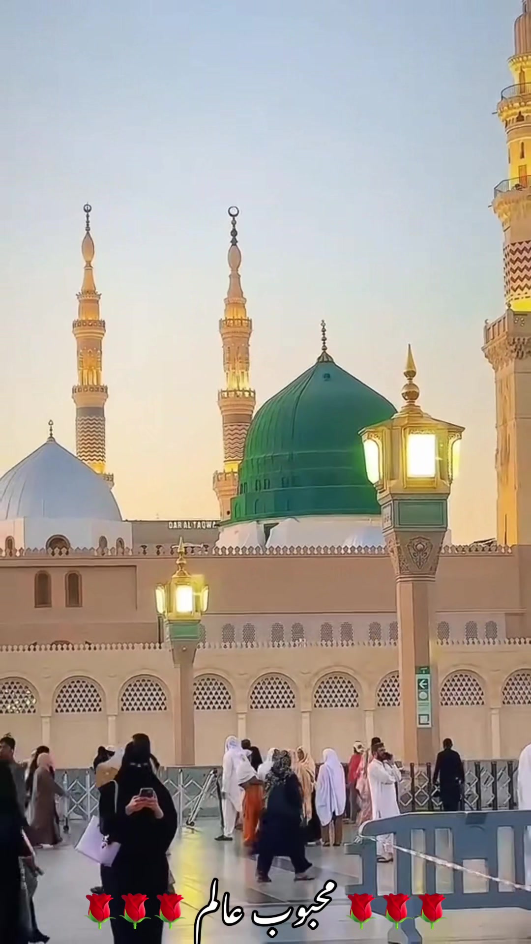 @محبوب عالم