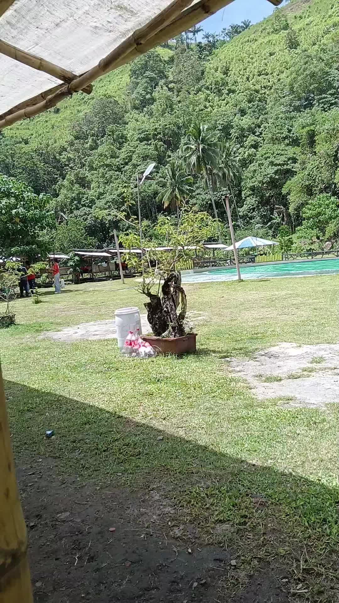 @poultryboy🇸🇦🇵🇭