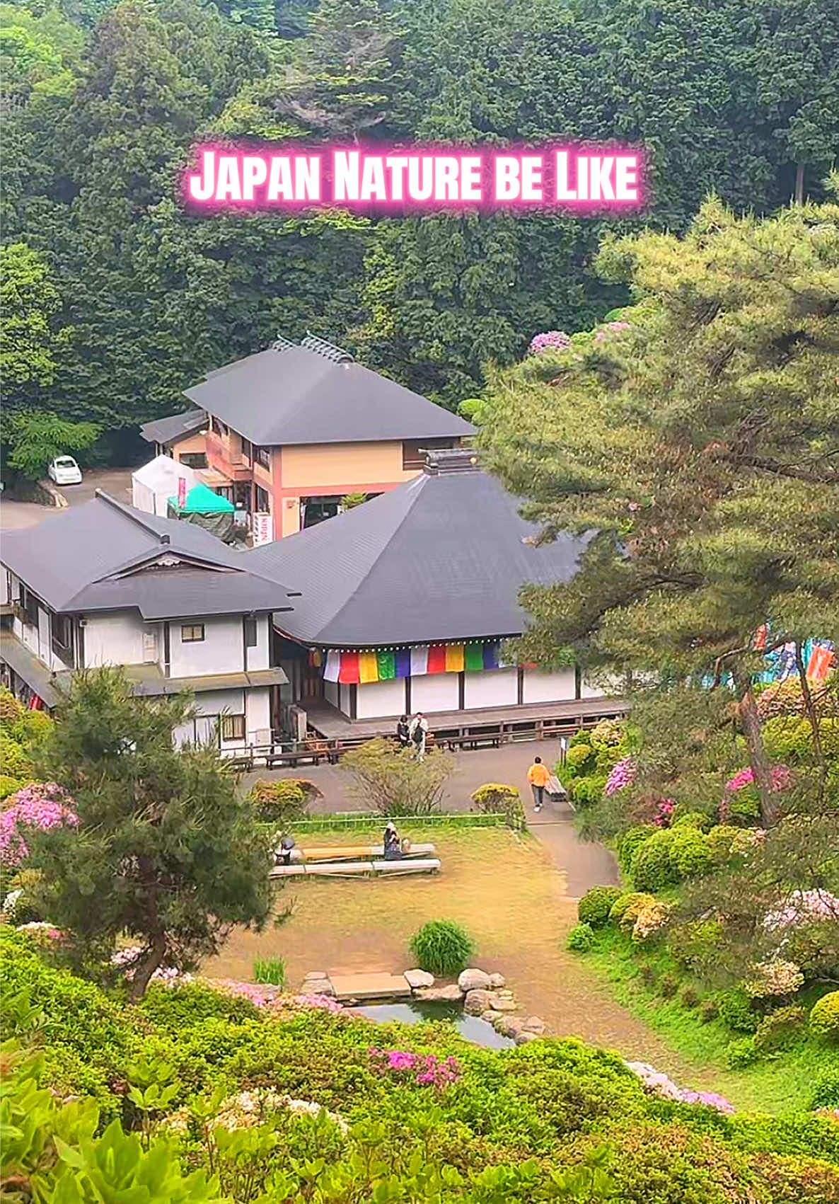 @machelinjapan