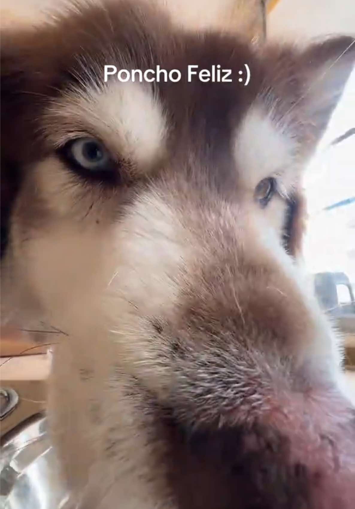 @soyzatt