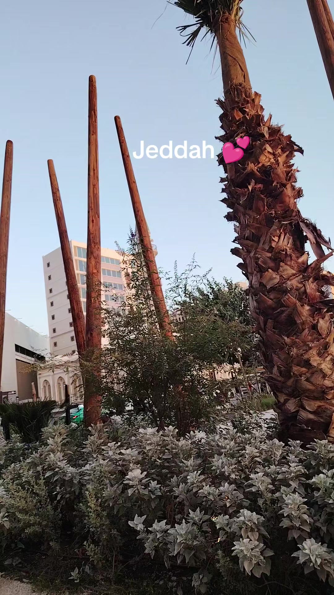@Dil Ki shehzadi💕