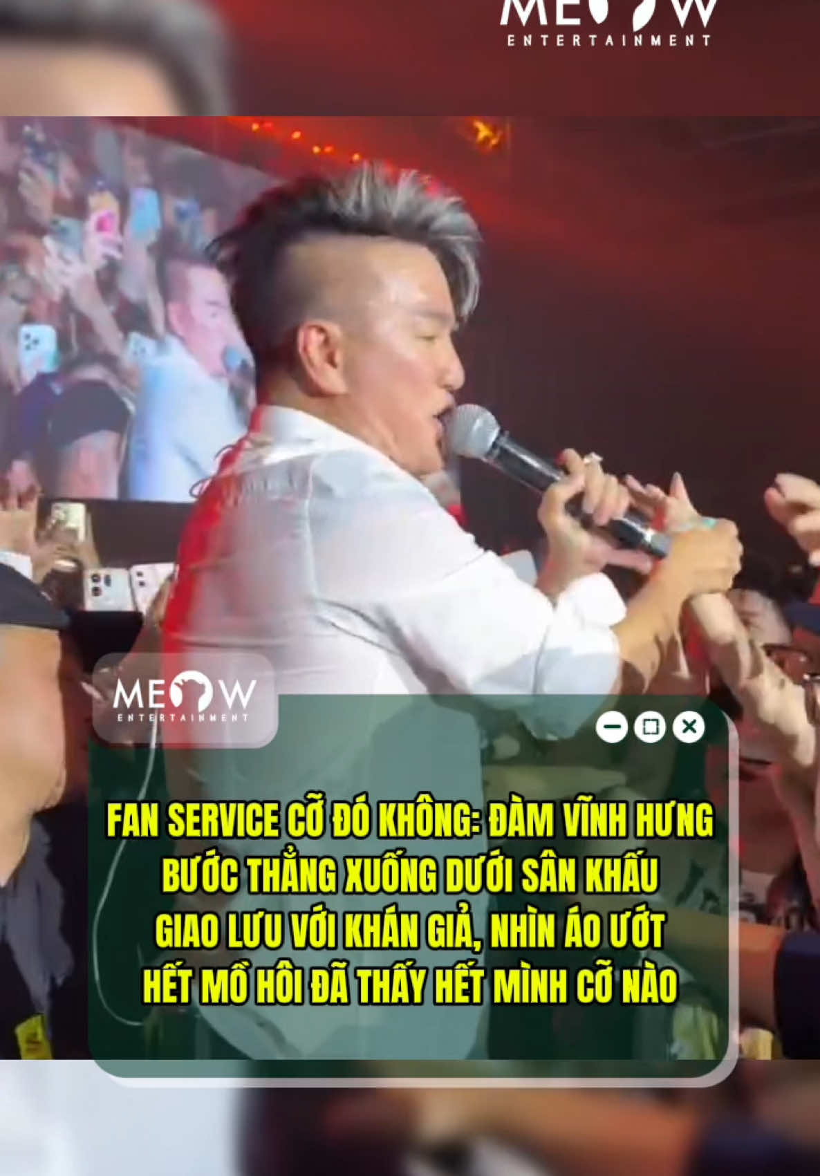 @MEOW ENTERTAINMENT