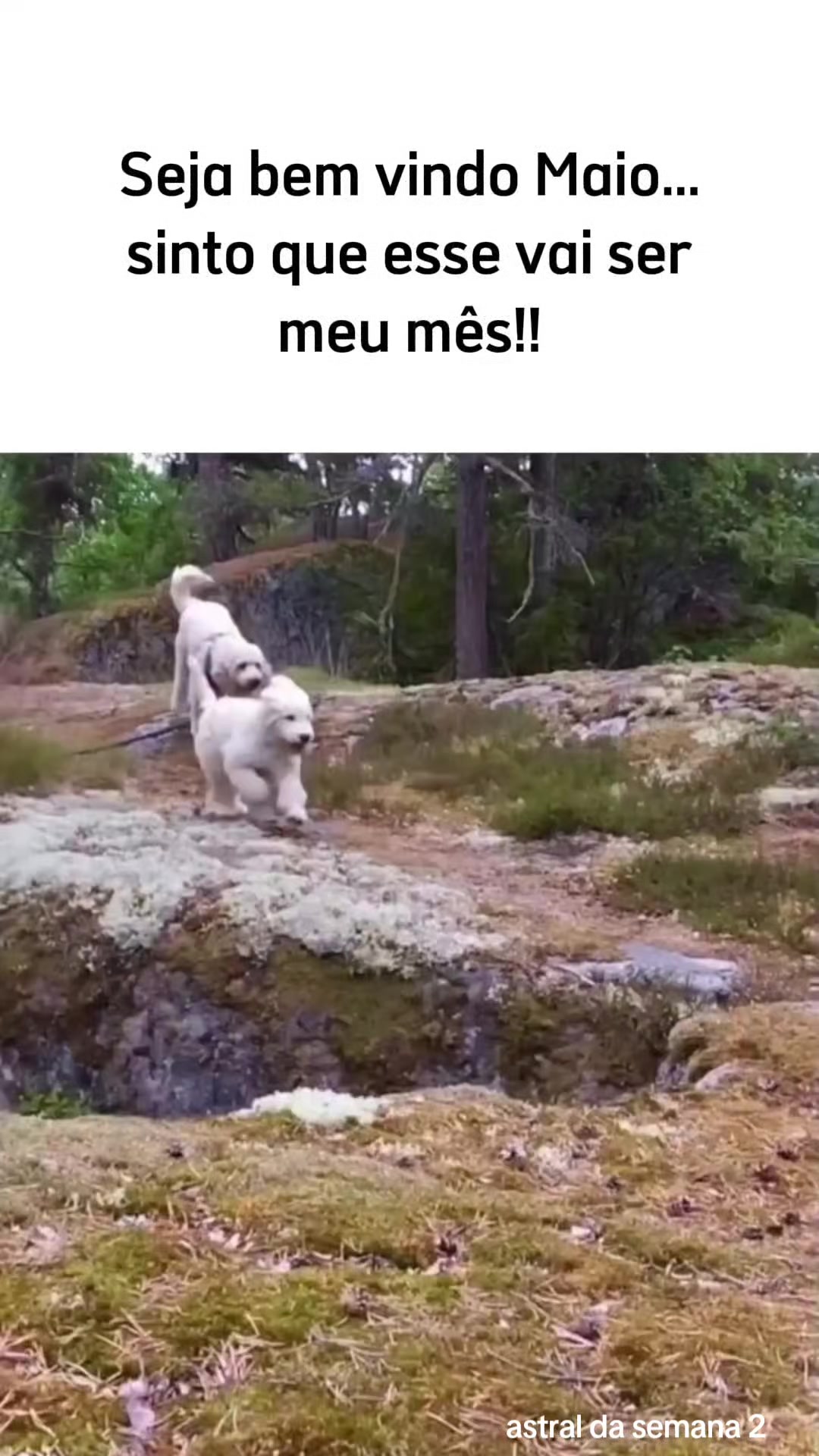 @Astral da semana 2