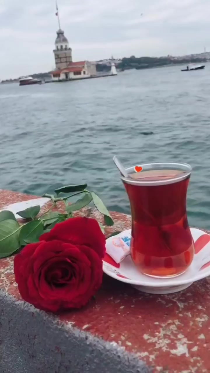 @KADDAR. 🌹🌹🌹