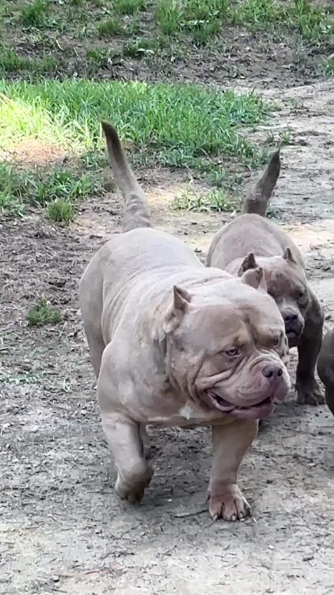 @Carters BullyHub