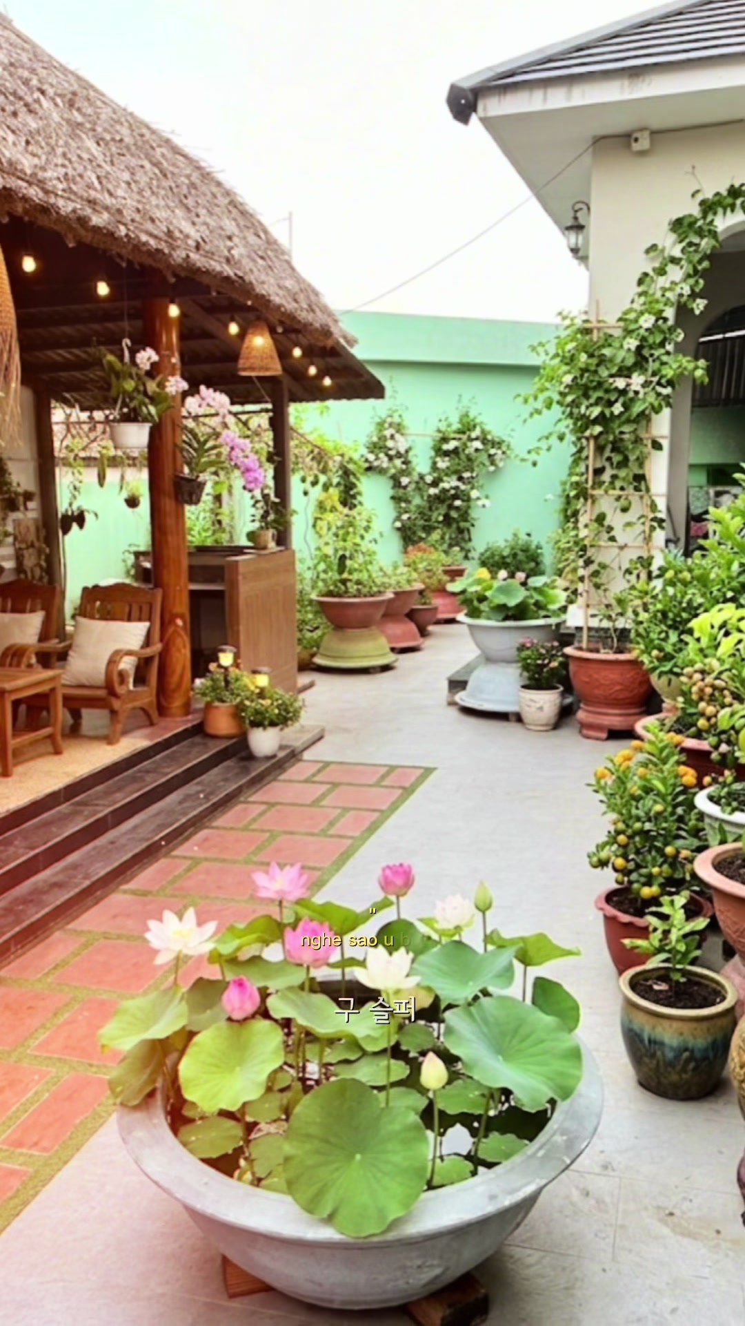 @Ngộ Đạo Trúc Viên
