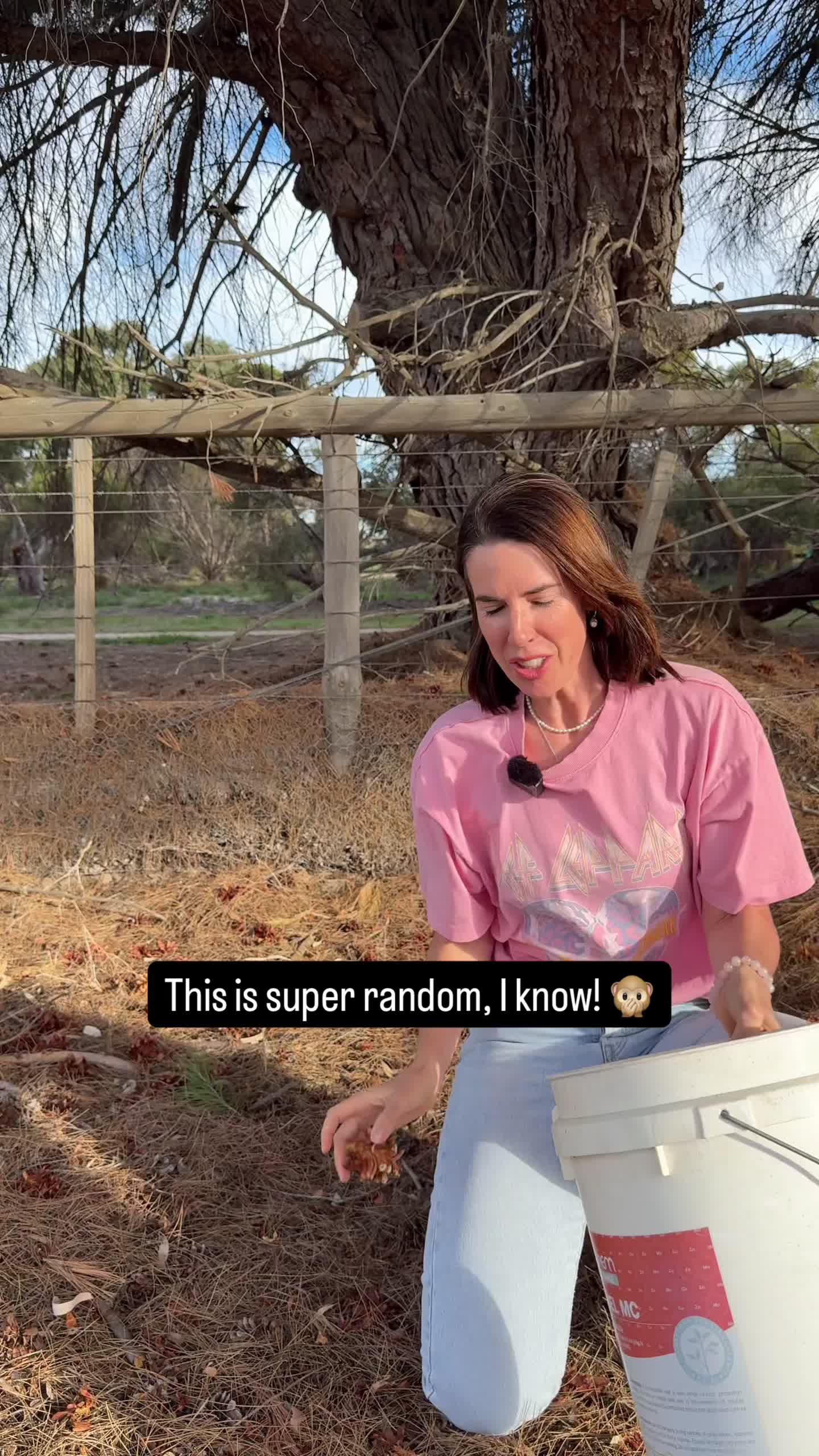 @Steph, random farm girl