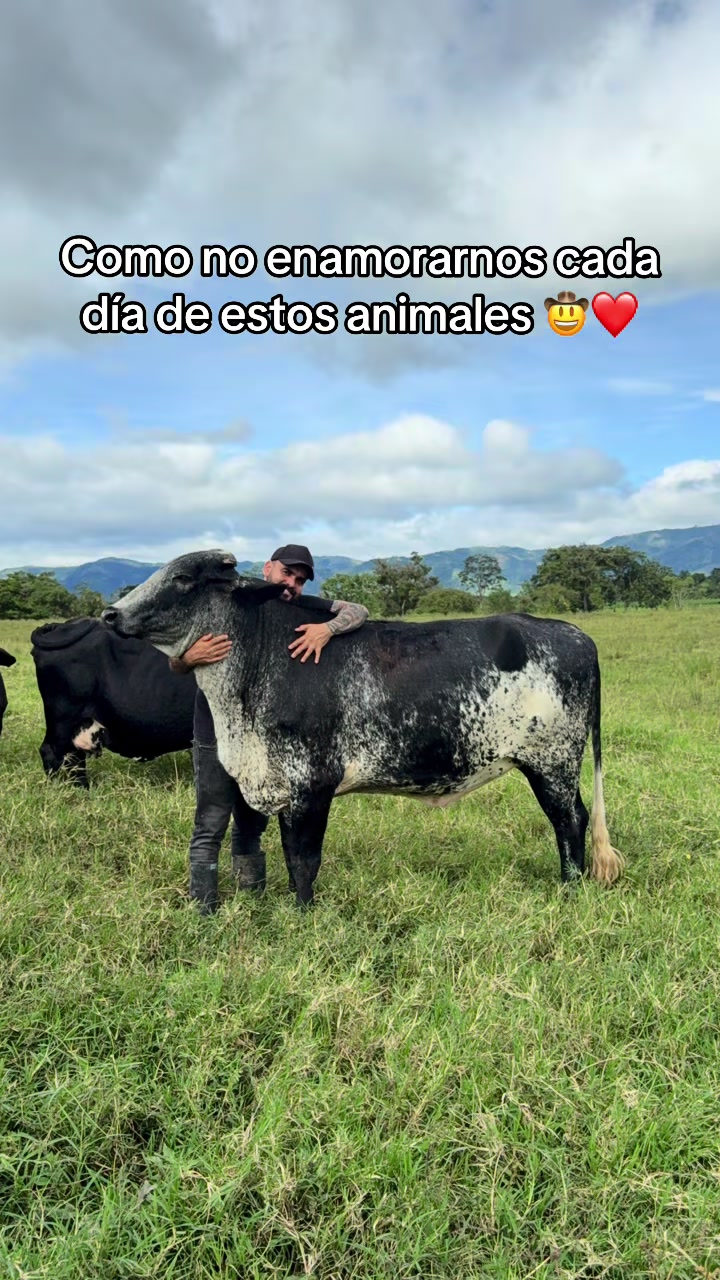 @Jhonatan Cabrera Var