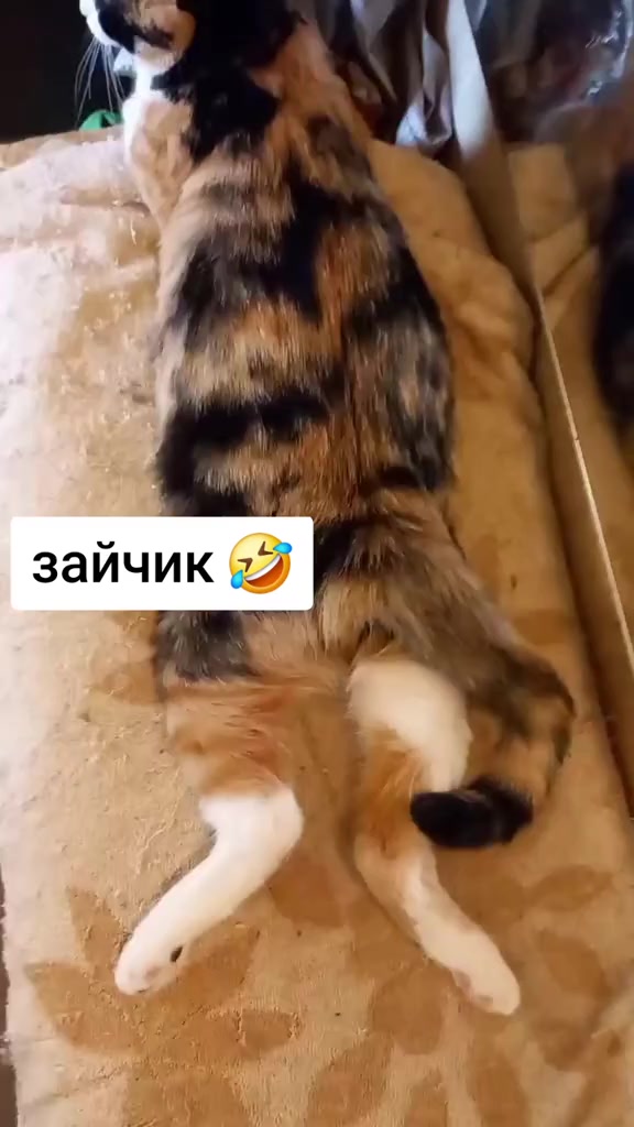 @Ольга и мои "хвостики"