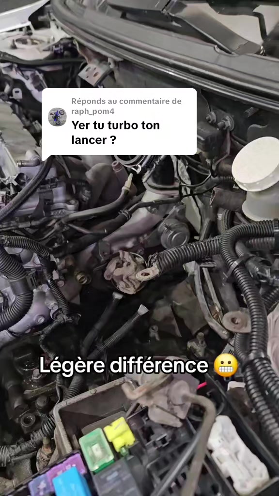 @Thetiktokevo