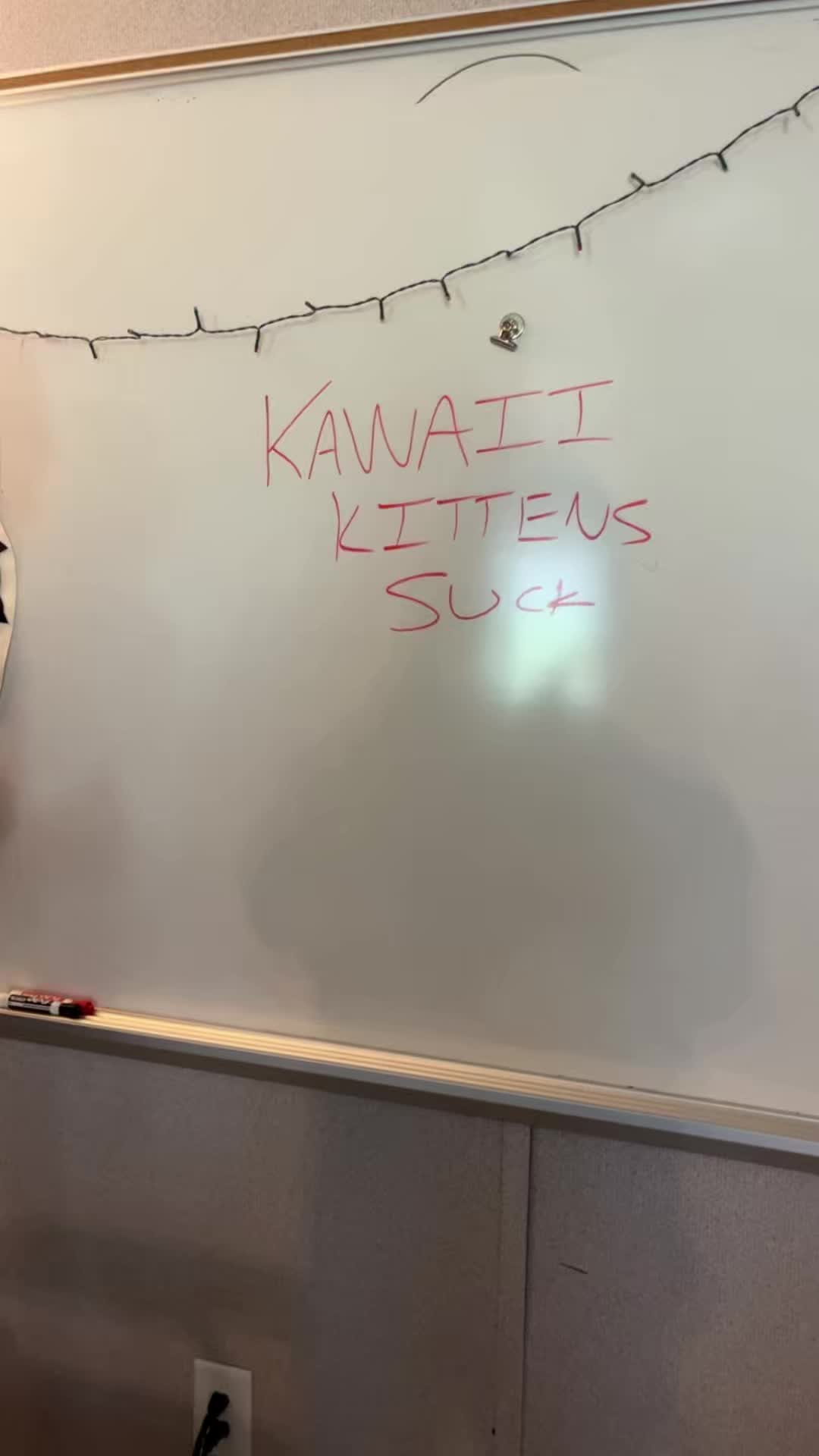 @Kawaii Kittens