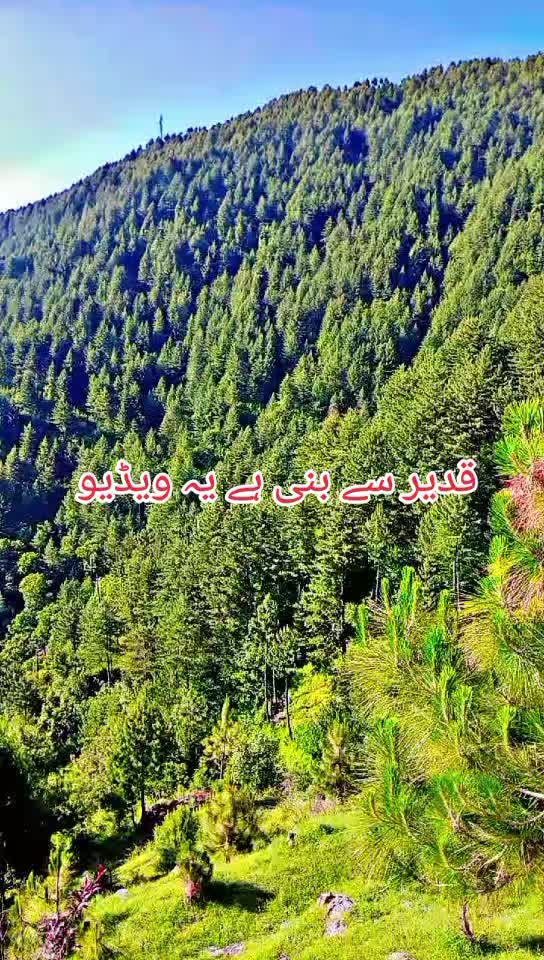 @انجان لڑکی