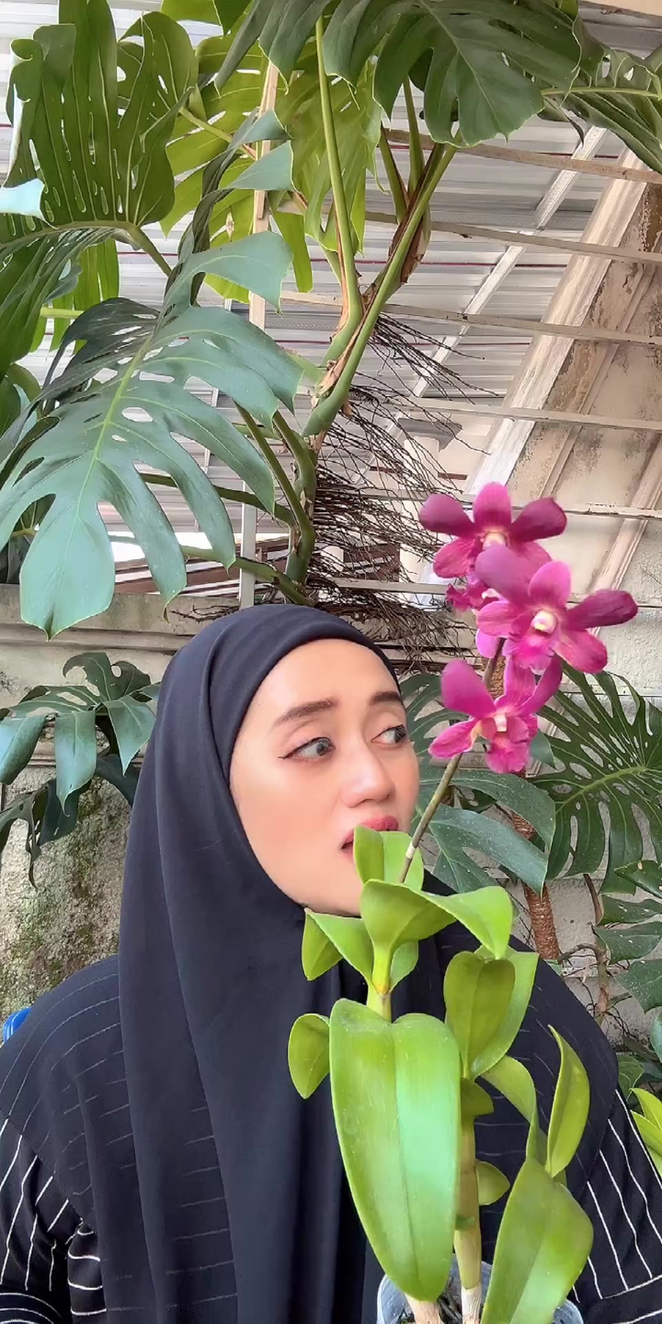 @Anggina Orchid